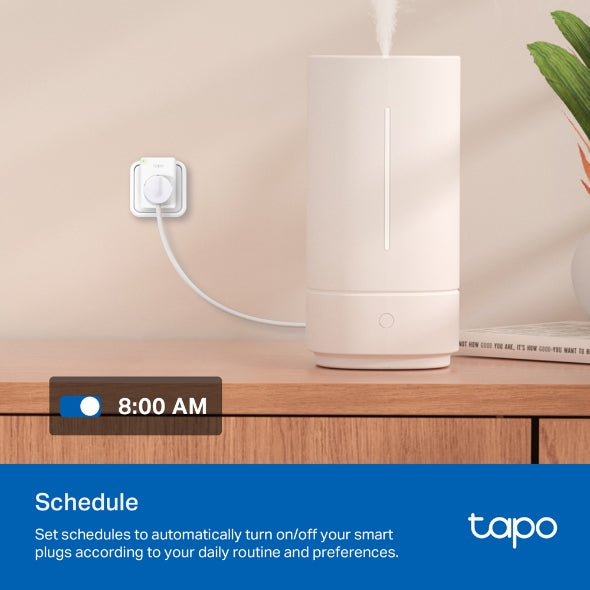 Tapo P100(1-pack)