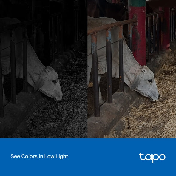 Tapo C320WS